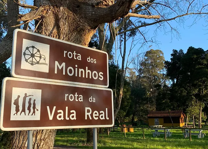 Forest Terrace Praia De Mira
