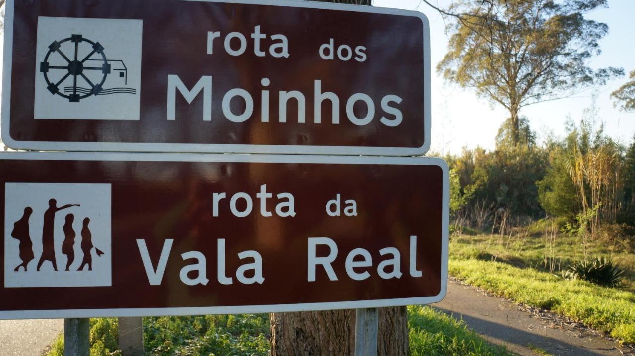 Forest Terrace De Mira