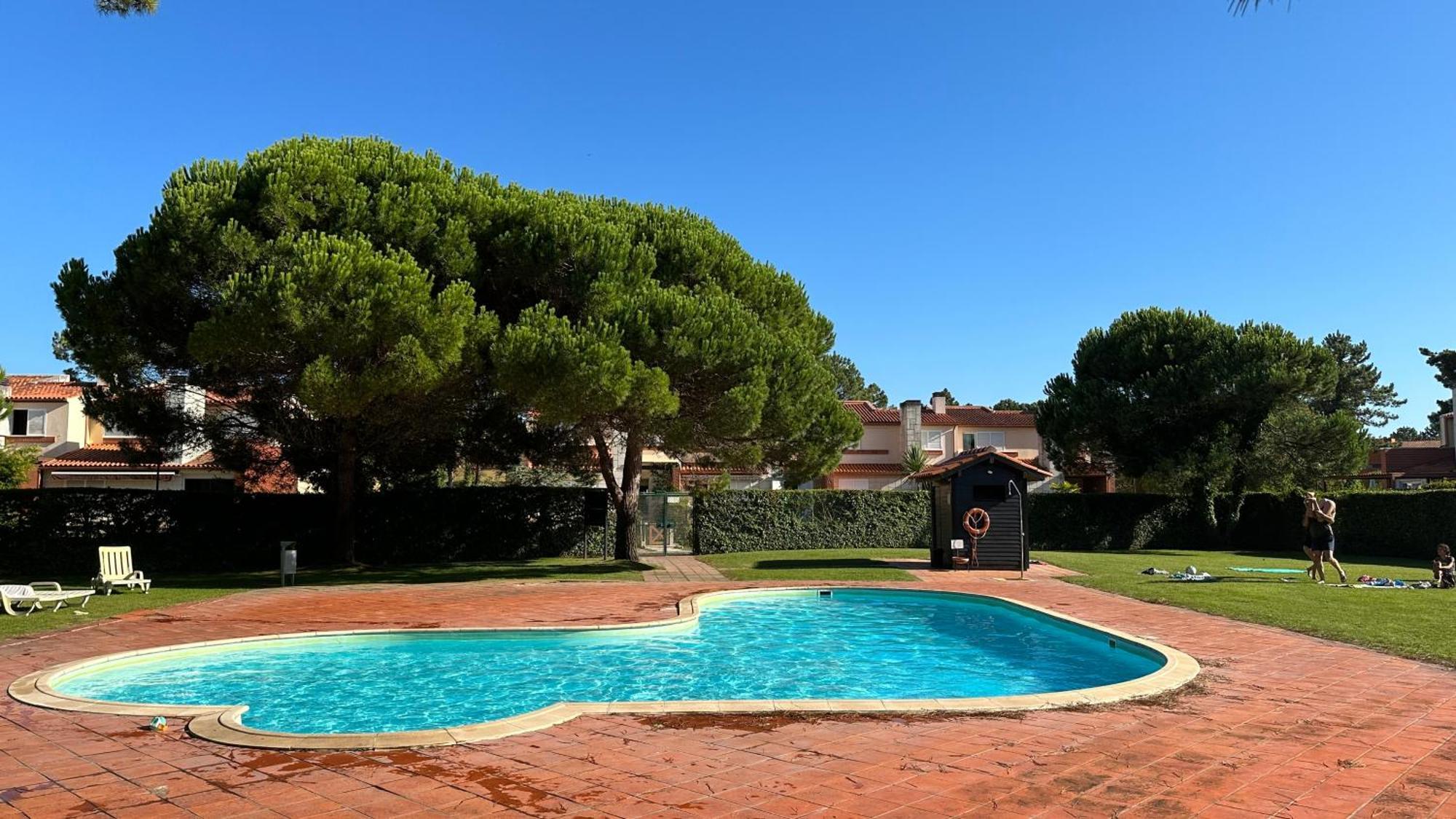 Apartment Forest Terrace De Mira